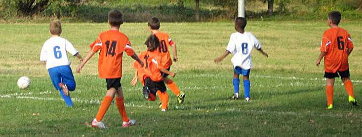 Tigrotti in azione!!!