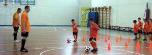 Tigrotti all'azione
